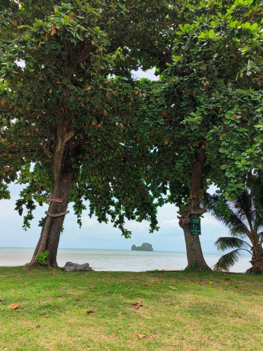 Nangkam Boutique Donsak Otel Ban Pheng Krong Dış mekan fotoğraf